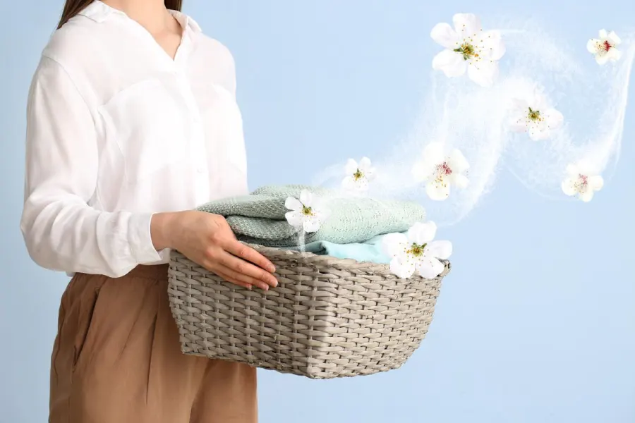 Eco-Friendly Wet Cleaning Services
